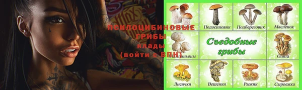 круглые Алексеевка