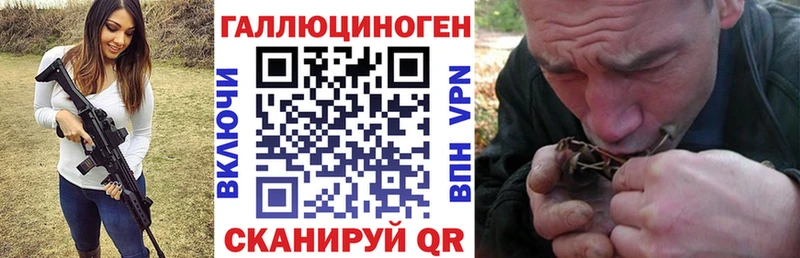Псилоцибиновые грибы Cubensis  Качканар 